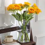 花店养花桶 亚克力醒花桶 塑料干花桶鲜花桶水培透明桶插花桶批发