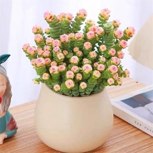 �߼�ϡ����¶����ֲ���{�R�oϾ��¶�k�����������^���Ի�