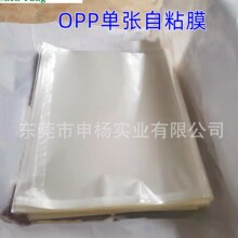 �S�ҟ��N��͸��OPP�Ώ����ϱ�Ĥ���٤�|���������C���bĤ��ճĤ