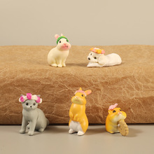 5��������k ������ͨС؈���ӂ}��С������΢���^�[��