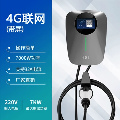 Elektrikli avtomobil şarj stansiyaları, Pile Household Slow Charging Byd - 7kw4g-small-program-with-screen-gray-3m