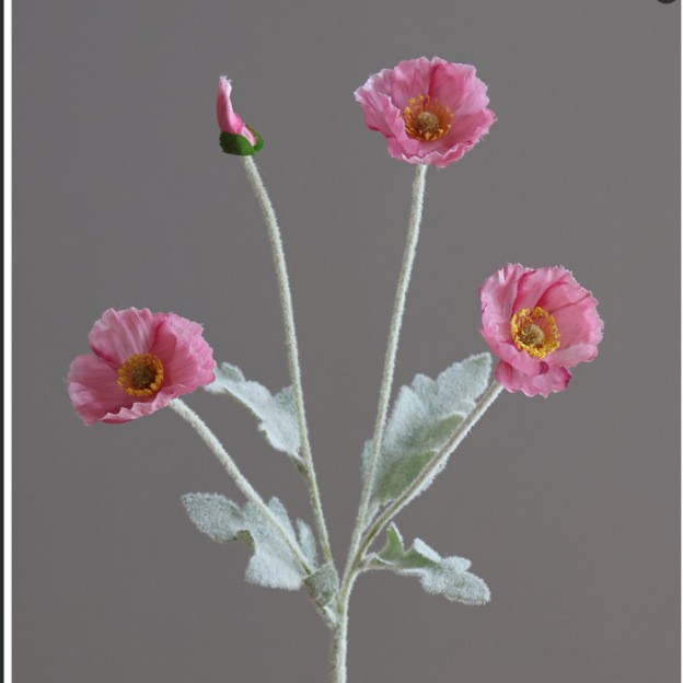 라이트 퍼플 레드