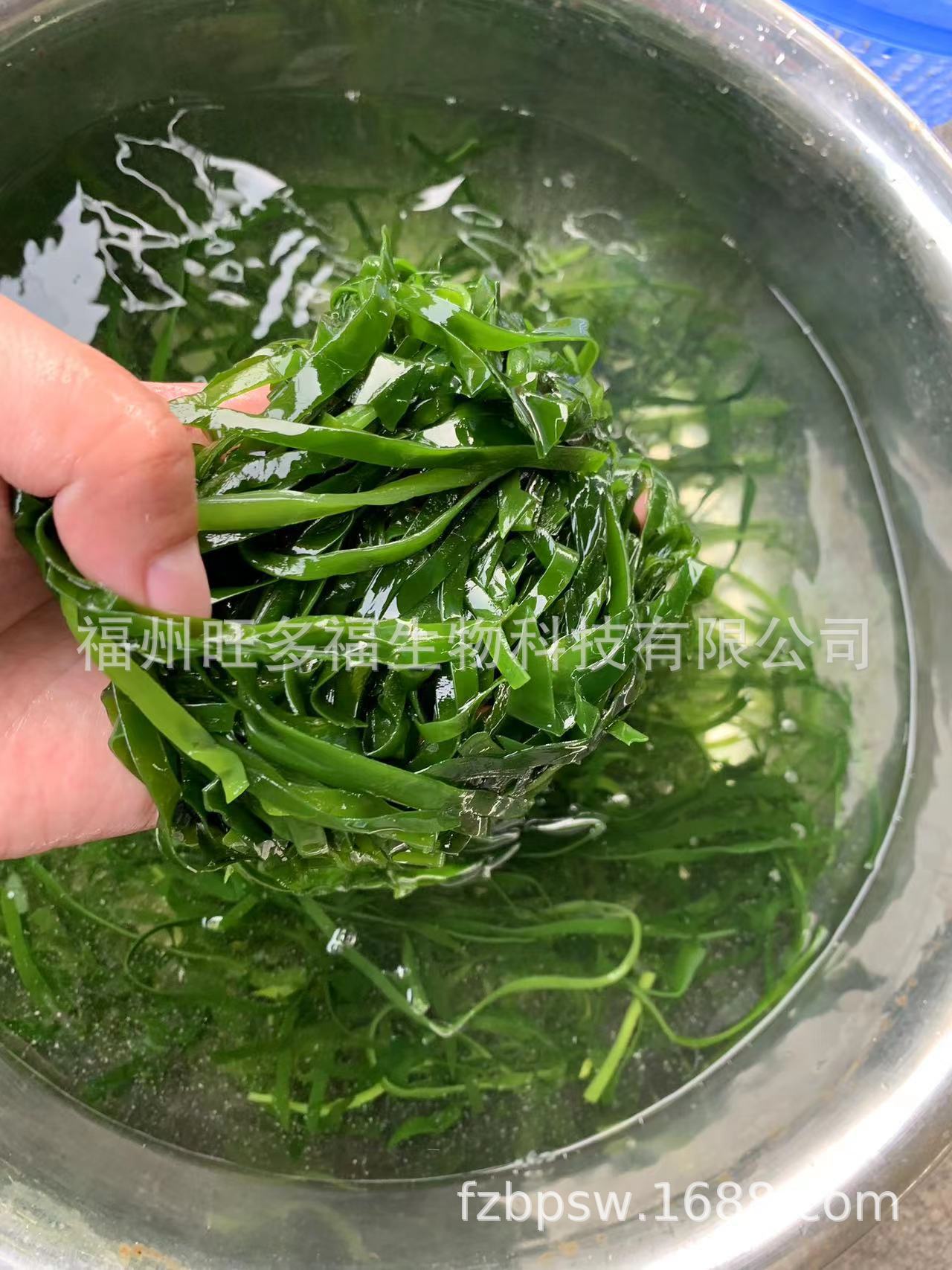 659e67475ad30d1d987e085383b07a