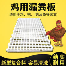 廠家批發禽用塑料漏糞地板 養雞養鴨養鵝家禽類塑料地板