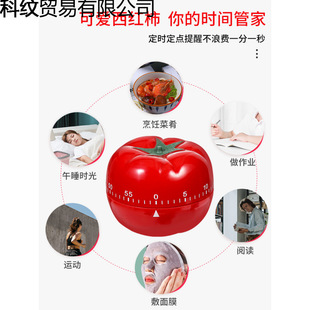 ?Ӌ�r���������W�����I�r�g�����[�R��ͯ�W���N�����r�����t���r