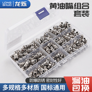 Butter Nozzle Combination M6M8M10 Pure Copper Stainless Steel Butter Nozzle Oil Injection Nozzle Butter Gun Tip Flat Head Set Box