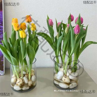 ˮ�ಣ������������ˮ�B��ƿ���ƾG�}ֲ���������~��͸����ƿ�AͲ