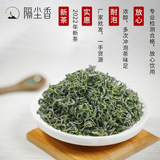 Способный чай 2024 Новый чай Songyang Rizhao Jiexiang Tea Tuk Оптом Zhejiang Yunwu Green Tea OEM настройка