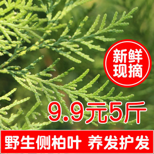 Ұ���Ȱ��~5����]ϴ�l��ș�ĂȲ�����~���r�Ȱ��~�ۺ��מ���