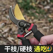 德国进口园林剪果树枝条剪家用粗枝剪省力滑轮修枝剪树枝