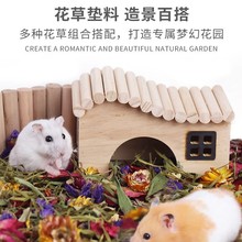 �}������о�|������������㻨�݉|�����ӽ�z�܉|��ľм���o��؈