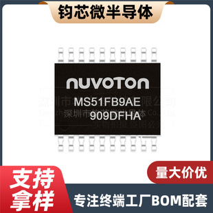 MS51FB9AE �NƬTSSOP-20 8λ΢������оƬ ������� N76E003AT20