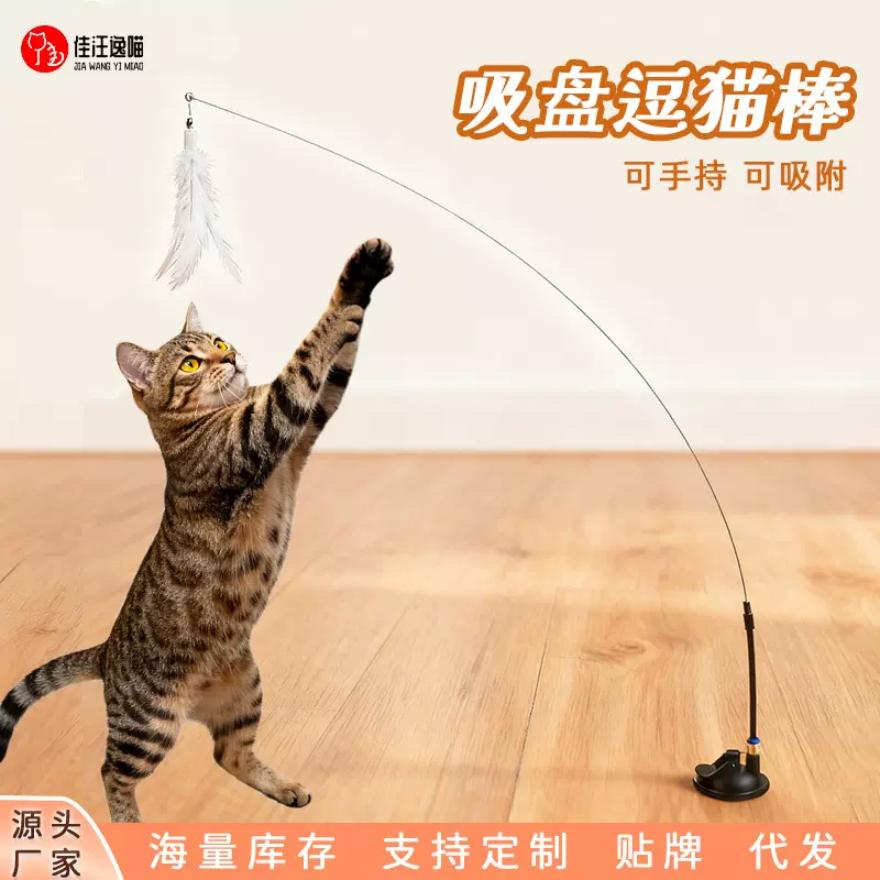 跨境爆款猫咪玩具可拆卸钢丝逗猫杆强力吸盘逗猫棒逗猫玩具批发