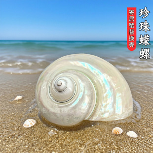 ����ϔ����Ȼؐ�������ֹ�diy�ľ�з��ؐ�~�Ú��~���쾰ˮ���b