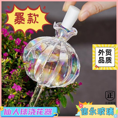 サボテンのボールの花遣り器のガラスの自動怠け者の水遣り
