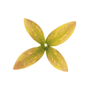 ����ٻ�ʯ���~�����~ �z�W������ʮ�־G�~ DIY�ֹ����~�b��~