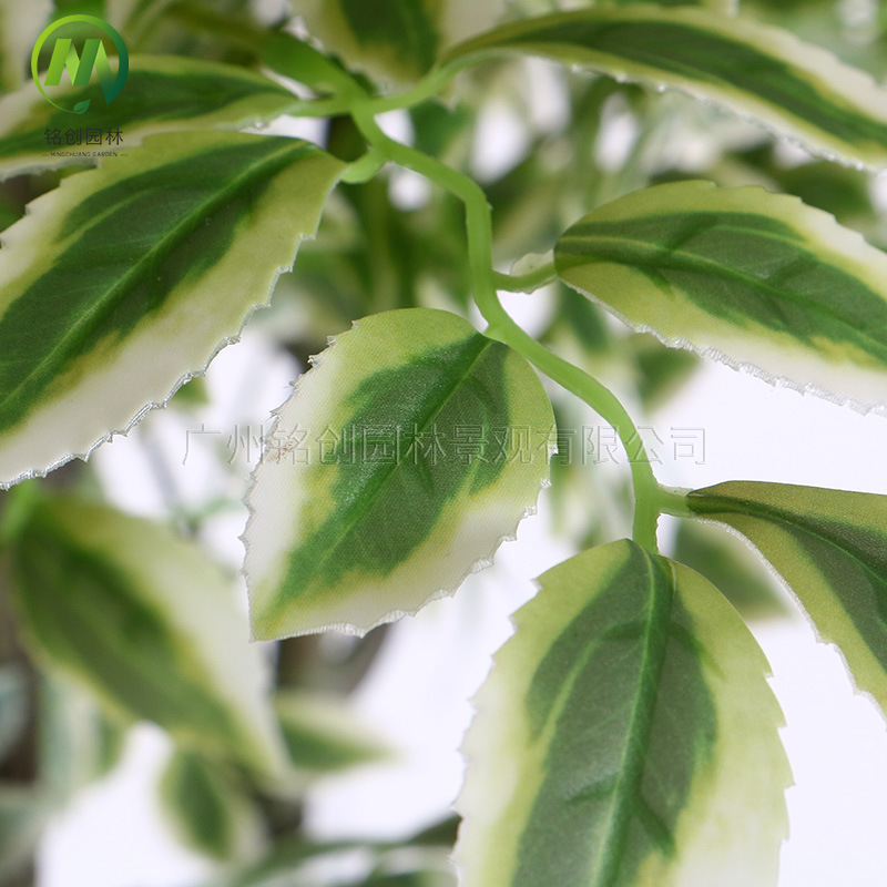 Simulación interior Planta verde en maceta Sala de estar Simulación Elmo Simulación Decoración de plantas Bonsai de lujo ligero Árbol de langosta falso Planta verde falsa