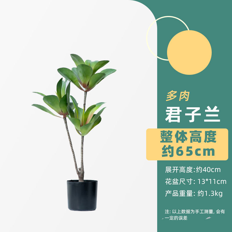 仿真树仿真绿植天堂鸟高端轻者仿生花客厅大型室内盆裁摆件装饰树|undefined