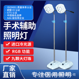 Medical Examination Lamp Led Light Source Surgical Lighting Single-Hole Medical Beauty Plastic Surgery Oral Dressing Operating Room Examination Lamp