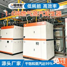 2吨预制菜行业燃气蒸汽发生器工业设备 混凝土养护低氮天然气锅炉