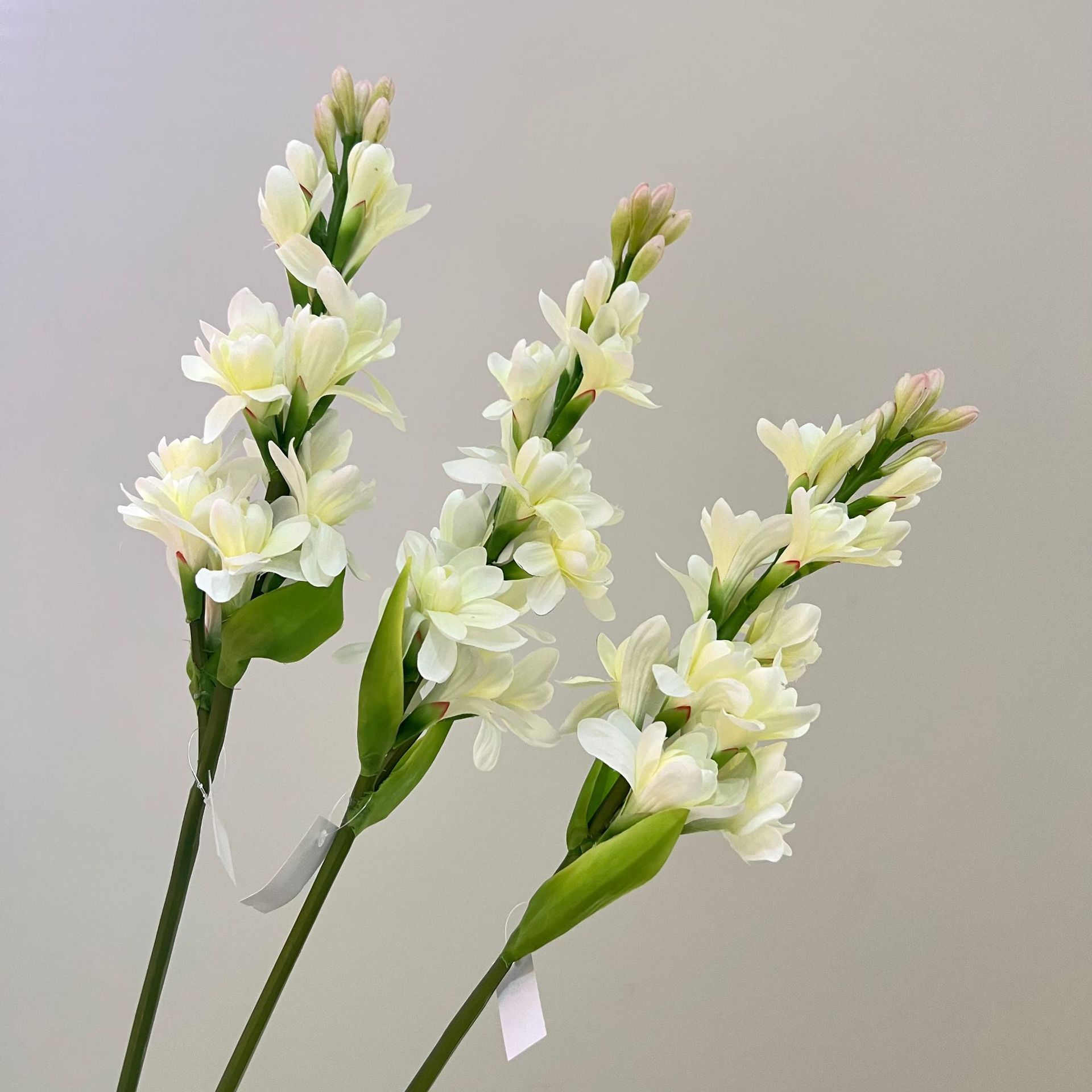 WeChat picture_20240613163124.jpg