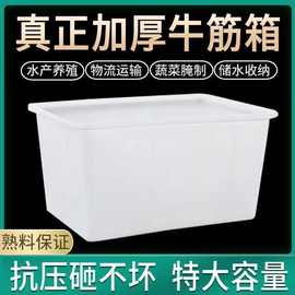 白色塑料水箱收纳箱食品服装中转泡瓷砖物流周转箱储水养殖塑料筐