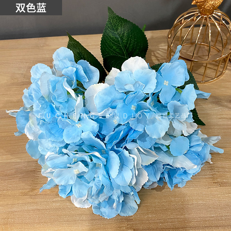 Two-color blue (5 beams per color, less shots)