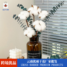 ȼ~޻Mϸɻa ~~X~ bɻȼ