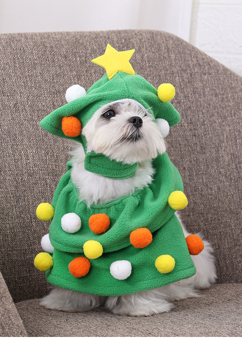 Pet Costume Image 4