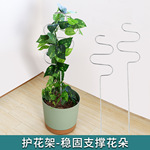 新款室内花园铁艺护花架家居实用固定不锈钢植物护叶支撑架现货
