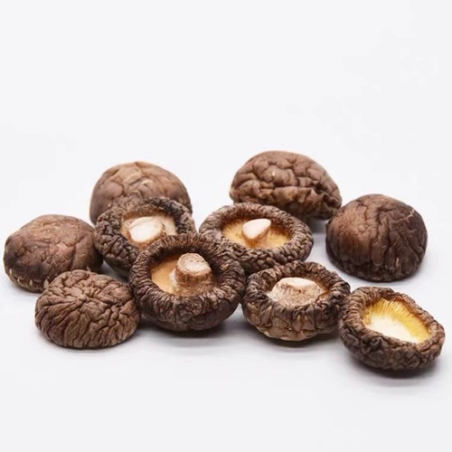 Wholesale Dried Shiitake Mushrooms 500g Origin and Source Dried Shiitake Mushrooms Flower Mushrooms Commercial and Home Use