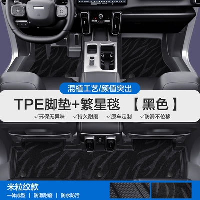 Plus, Xiaolong Max, F5, F7X, Modelə uyğun ayaqaltı - please-leave-a-message-or-note-the-model-year-when-placing-an-order-rice-grain-pattern-tpe-door-sill-mat-black-starry-blanket