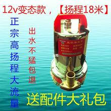 抽水泵浇菜12V直流潜水泵24V48V60V电动车抽水机农用小型高压电瓶