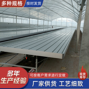 ��ϫ�紲 �������ֲ�����紲 �X�Ͻ���ܲ�ݮ�Nֲ���糱ϫ�紲