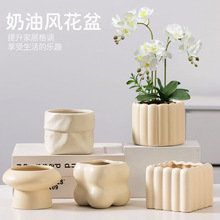 �����մɱ��W���ö��⻨�������L�����m�m�����С̖�Gֲ�辰