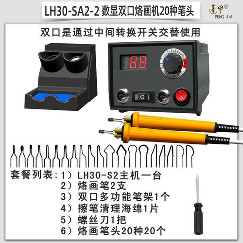Pengjia Professional Temperature-Controlled Pyrography Machine, Pyrography Tool Kit, Gourd Wood Board, Heat Transfer Painting and Carving Machine, Electric Soldering Iron, Paintbrush