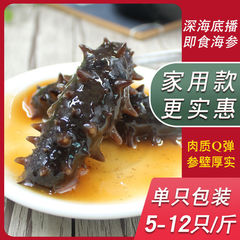 すぐに食べられるナマコ、新鮮なシングルパック、遼海産海産物卸売、非大連ナマコ乾物