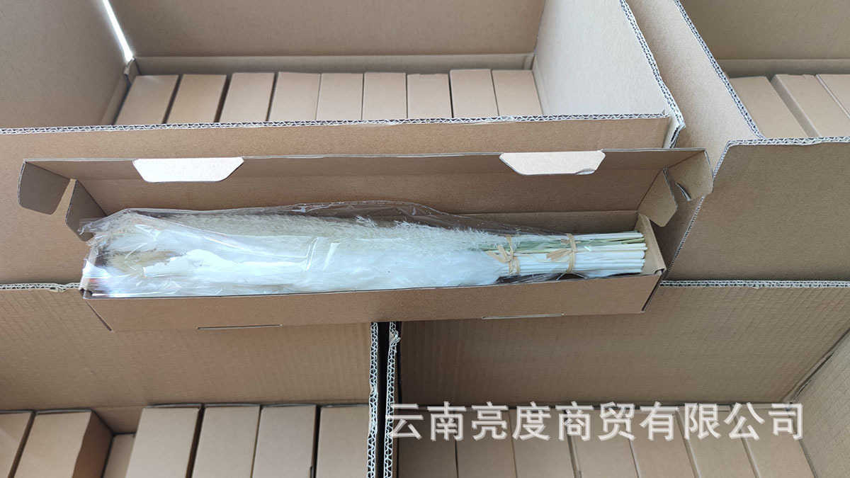 bd9975de15f7c7f1ddfac2adc4660d