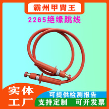 Salisburyzý^I늾B2265/2266