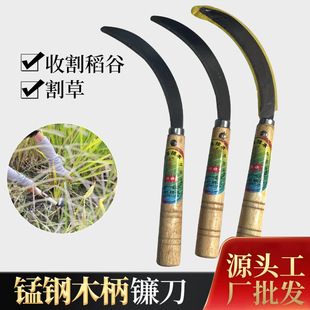 �i���X砵����l�r��砵���ݸ�С��ˮ��ˮ���Ͳ˾²�ľ��砵�