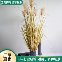 [Ԉ@־G辰ҾbJȔȔԾGֲ