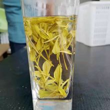 一斤装500克雨前安吉黄金茶 安吉白茶黄金芽黄金叶茶黄金白茶