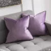 Small flash-light purple