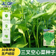 Ĳ˷NѾU߮͟a~̨rļ߲˷N