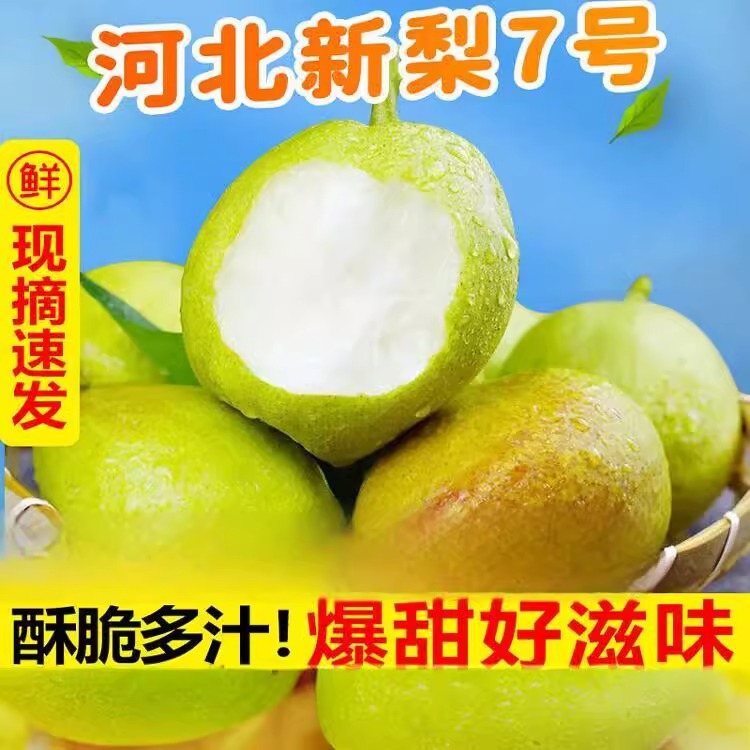 香梨新品种新梨7号当季现摘现发梨子新鲜9斤水果整箱包邮