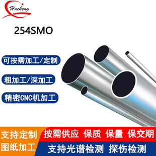 254SMO���P�S31254�o�p�� �����W���w������֧���и���|��