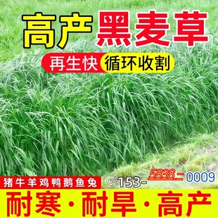 ���ݺ����ݶ������ļ��ո�߮a���ݷN��ι�B����ţ�R���u�Z�~����