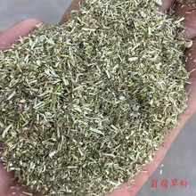 苜蓿草粉牛马羊兔等动物用草粉禽畜苜蓿草饲料批发绿色天然蛋白