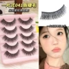 Little Devil 041 False Eyelashes