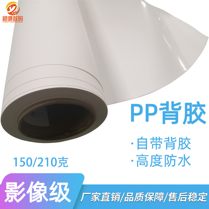 影像级防水PP背胶纸150/210G哑面户内广告喷绘写真材料喷墨打印纸